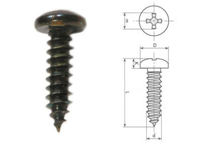 RTA 420.005-2 4,2 x 16mm vite autofilettante DIN 7981 croce nera