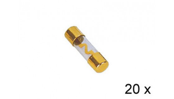 RTA 154.672-2 AGU gilded glass fuses, 40A